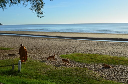 Free Beach Ocean photo and picture