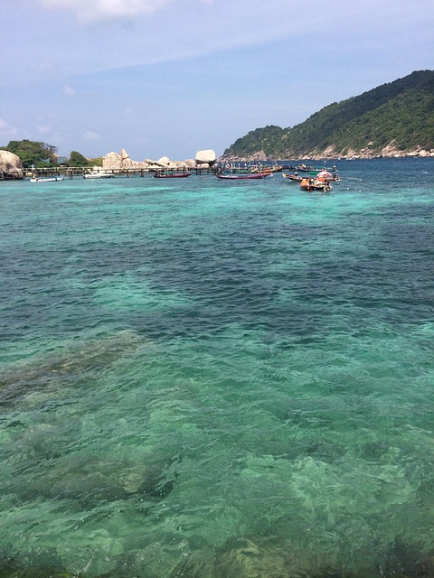 Free Thailand Ko Tao photo and picture