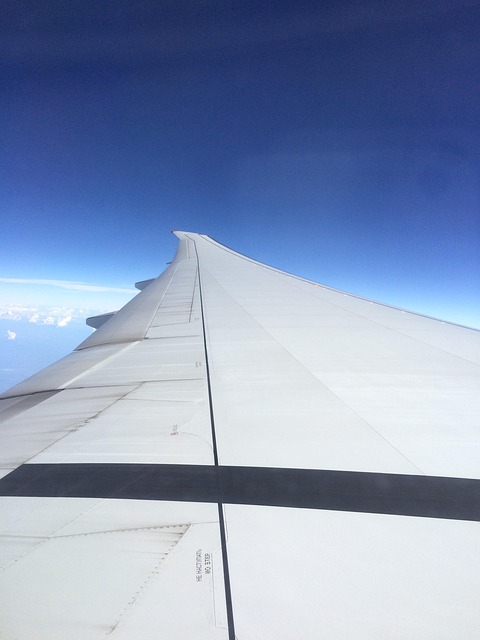 Free Wing Flight photo and picture