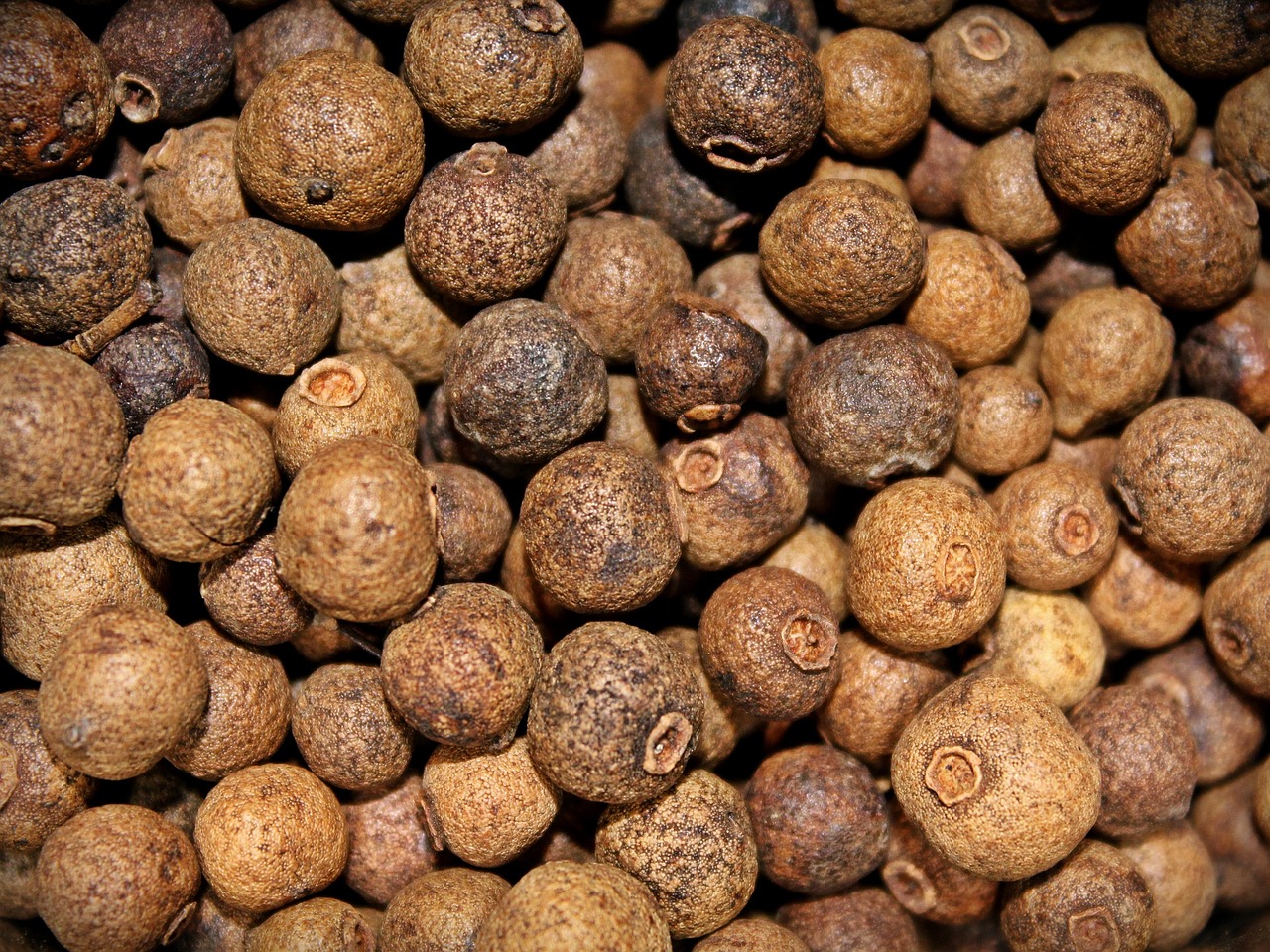 Allspice Piment Spice Free photo on Pixabay
