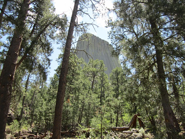 Free Wyoming Devil'S Tower photo and picture