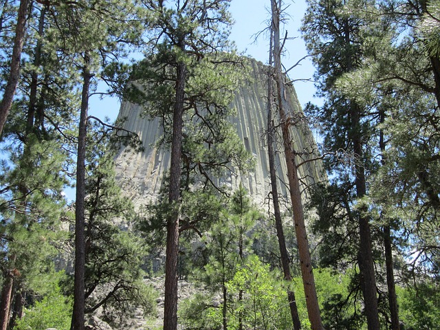 Free Wyoming Devil'S Tower photo and picture