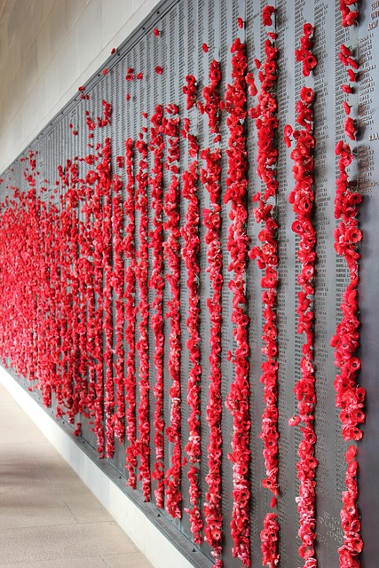 Free Poppies Memorial photo and picture