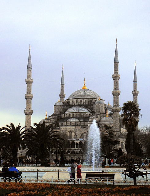Free Istanbul Mosque photo and picture