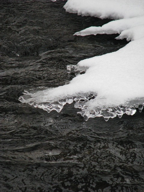 Free Winter Stream photo and picture