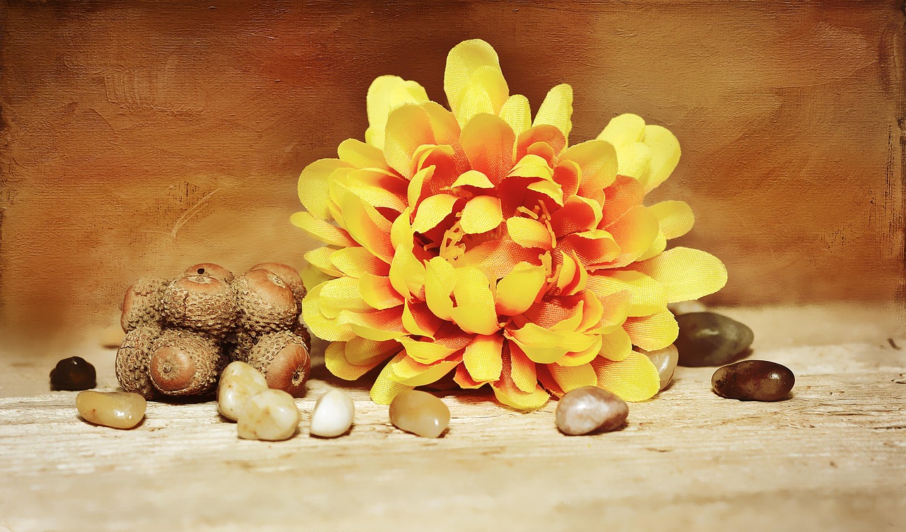 Flower Decorative Fabric Free photo on Pixabay Pixabay