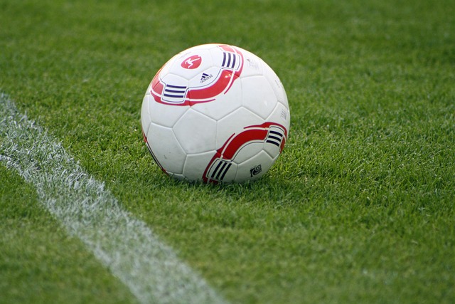 Free Soccer Football Pitch photo and picture