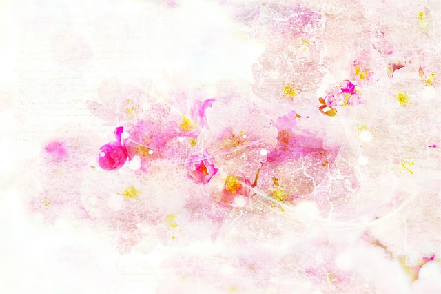 Free cherry blossom background nature illustration