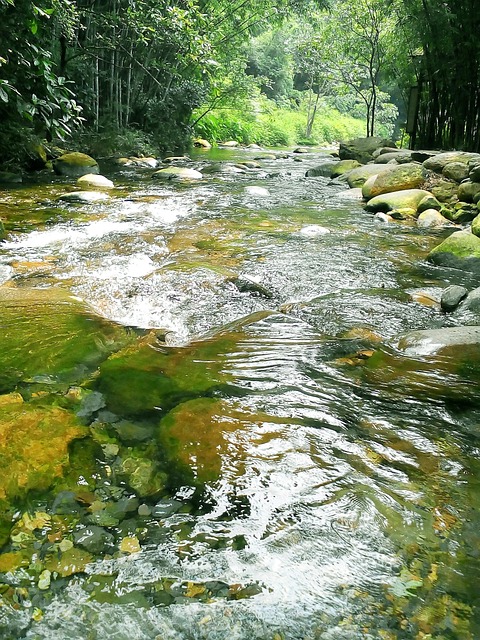 Free Brooks Running Water photo and picture