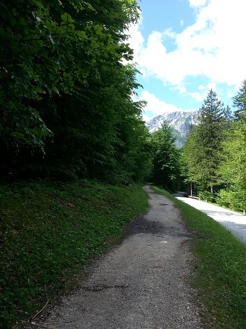 Free Nature Green photo and picture