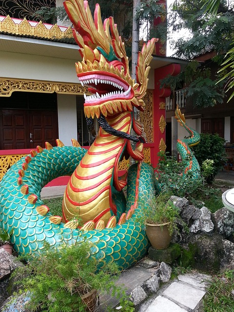 Free Dragon Asia photo and picture