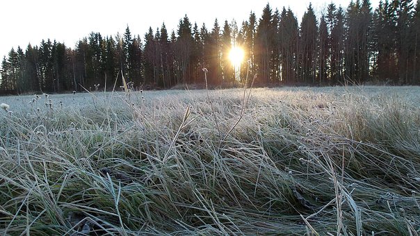 Free Frost Winter photo and picture