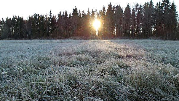 Free Frost Winter photo and picture