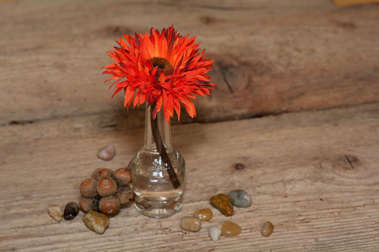 Download free HD stock image of Flower Plastic Flower Free Flower Plastic Flower photo and picture