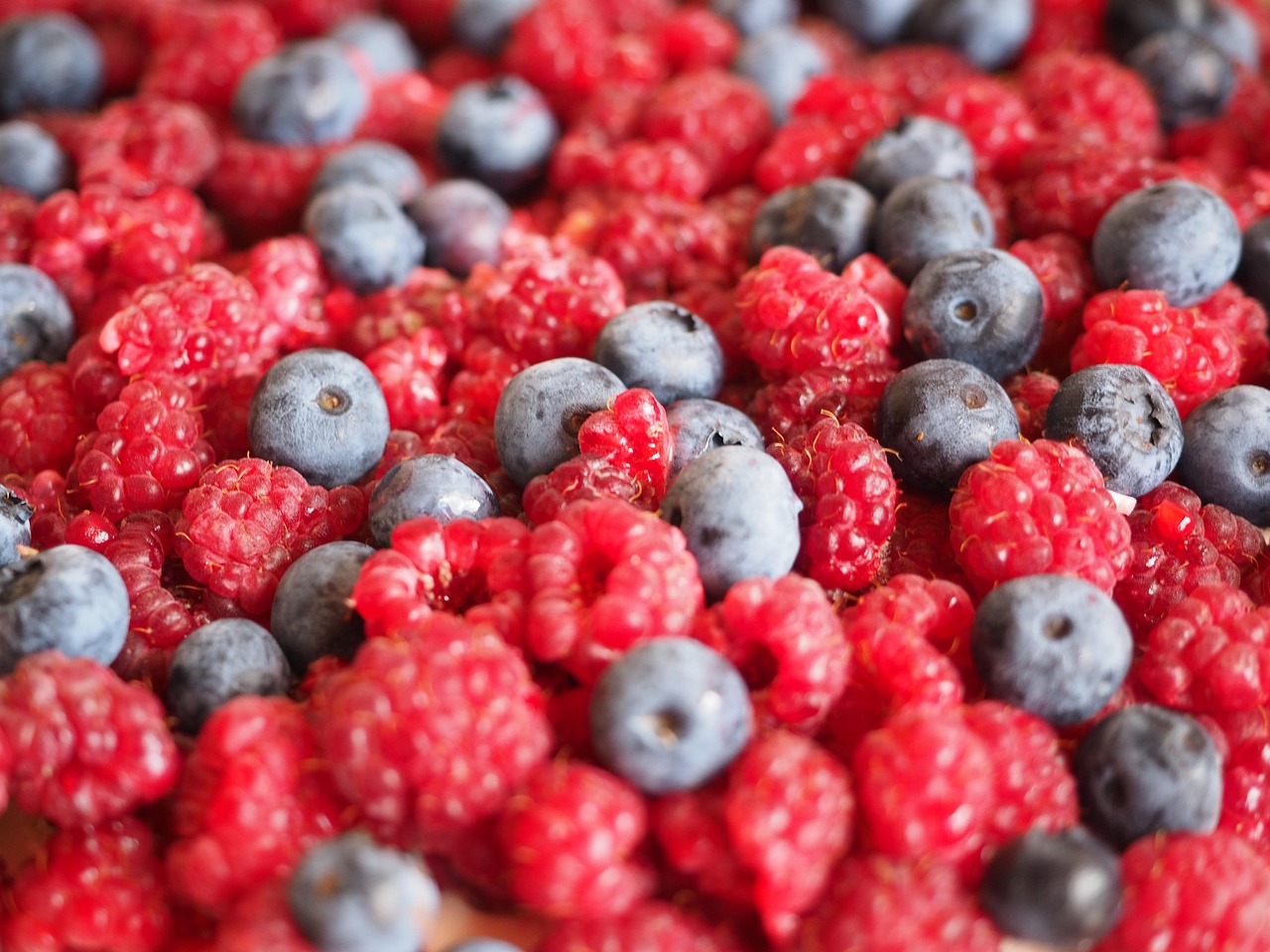 Himbeeren Heidelbeeren Beeren - Kostenloses Foto auf Pixabay - Pixabay