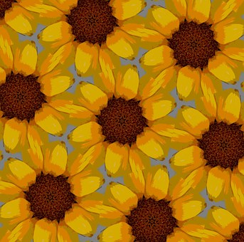 Free Sunflower Background illustration and picture