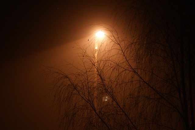 Free Lantern Street Lamp photo and picture