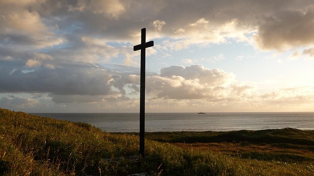 Free Grief Sadness photo and picture