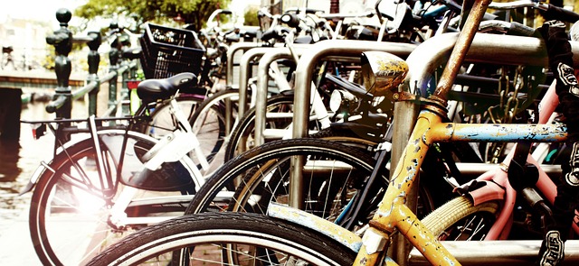 Free To Travel Amsterdam photo and picture