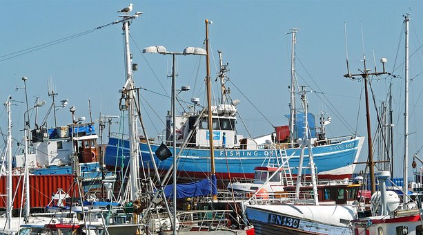 Free Denmark Port photo and picture