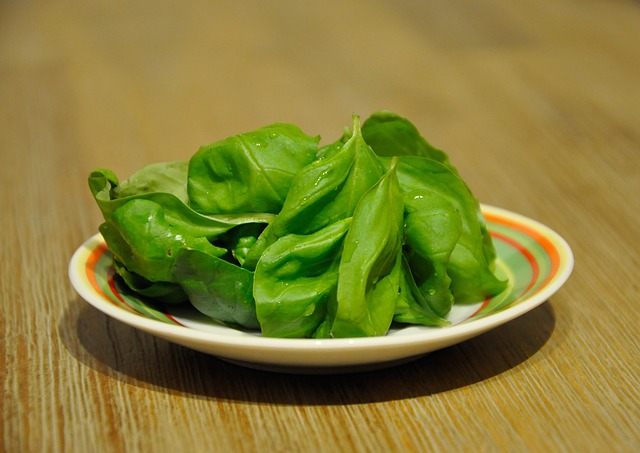 Free Basil Plate photo and picture