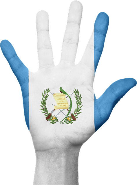 Free guatemala flag hand illustration