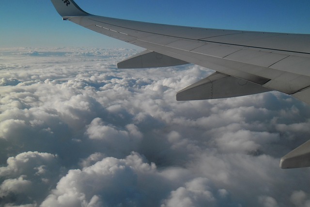 Free Plane Flight photo and picture