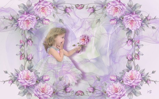 Roses, Admiration, Rozen, Bewondering