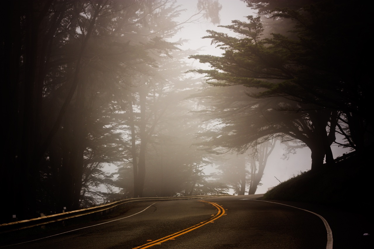 Tree - free online jigsaw puzzle photo