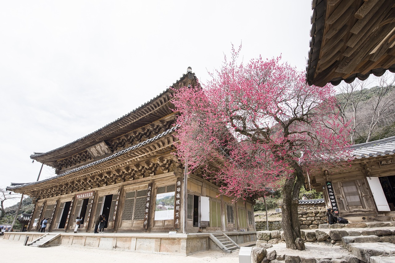 300 + 무료 사찰 & 절 이미지 - Pixabay