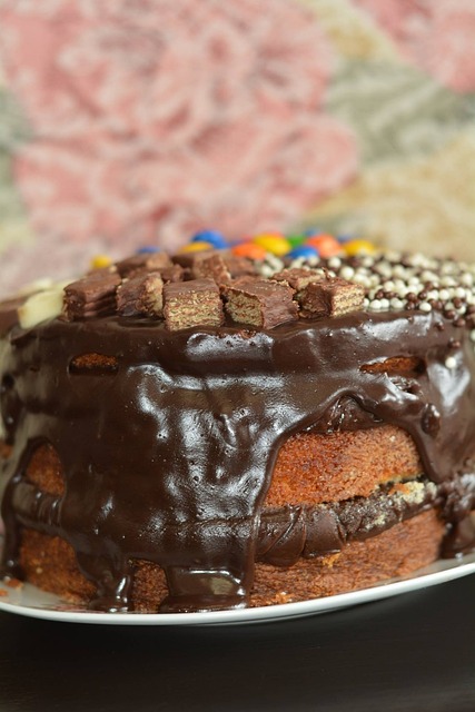 Free Cake Chocolate photo and picture