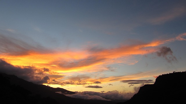 Free Sunset Blush photo and picture