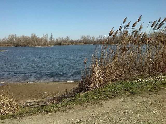 Free Landscape Lake photo and picture