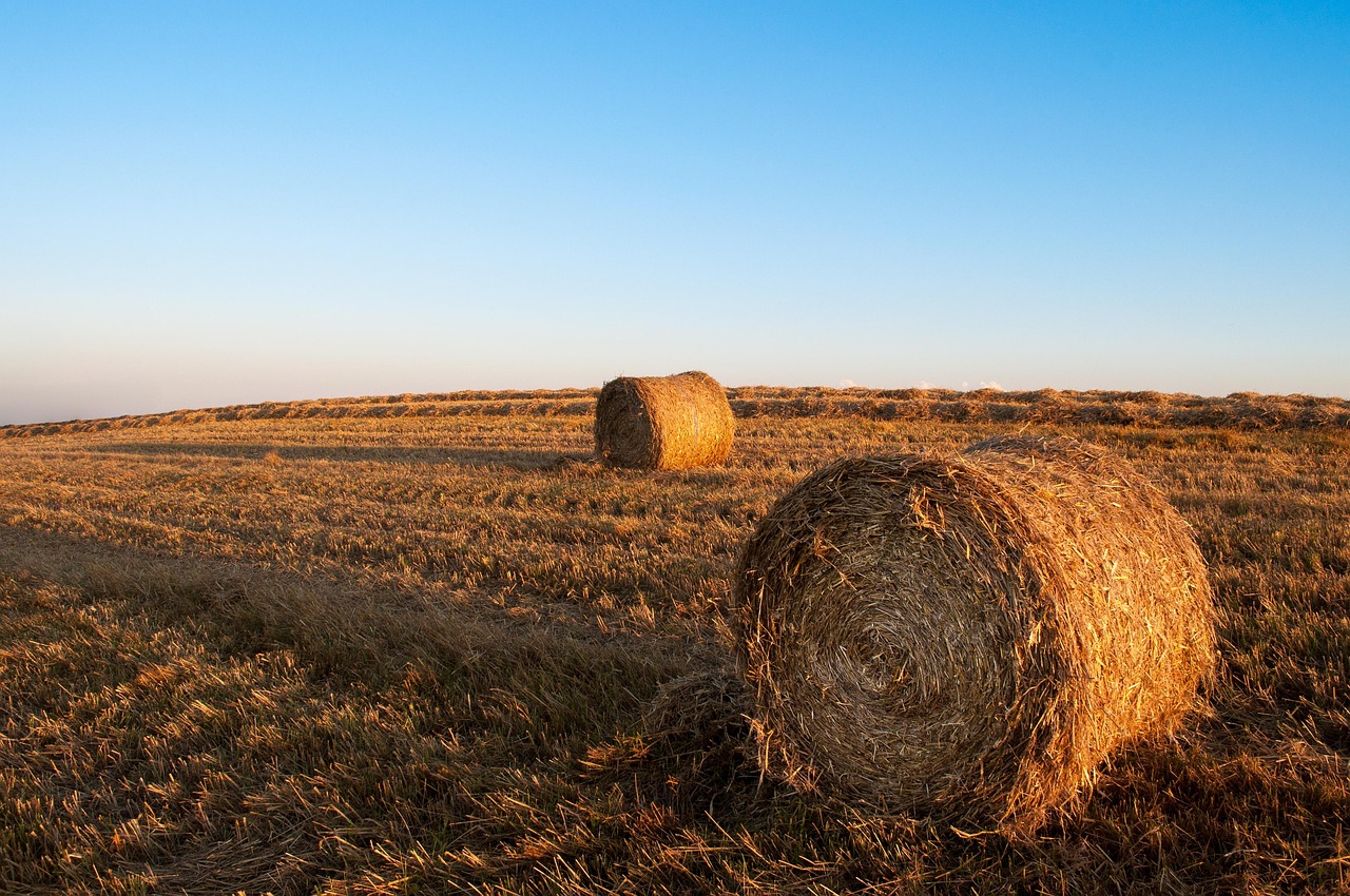 Foin Balles Champs Photo Gratuite Sur Pixabay