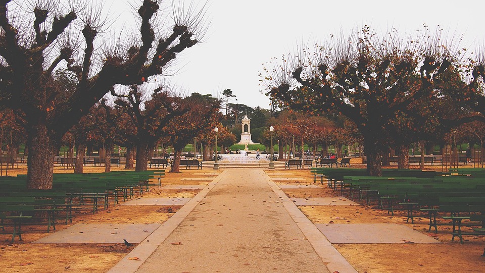 Free Golden Gate Park San Francisco photo and picture