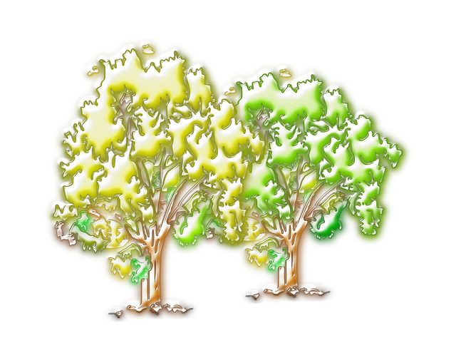 Free tree boom plant illustration