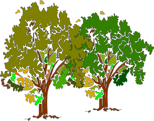 Free tree boom plant illustration