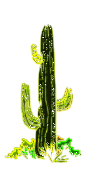 Free cactus desert plant illustration