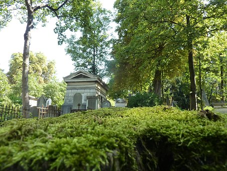 Free Cemetery Mousse photo and picture