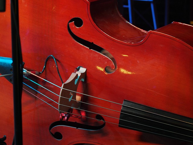 Bass, Klassisch, Aufsammeln, Musik, Holz