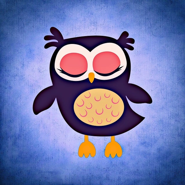 Free owl nature multicoloured illustration
