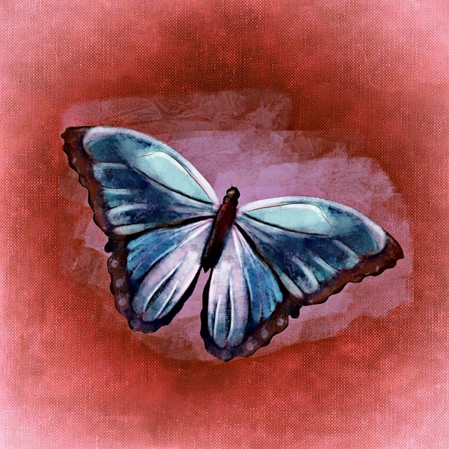 Free butterfly insect flying illustration