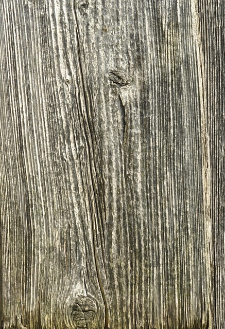 Holz, Struktur, Maserung, Baum, Textur