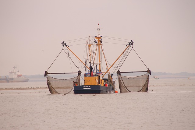 Free Sea Zeeland photo and picture
