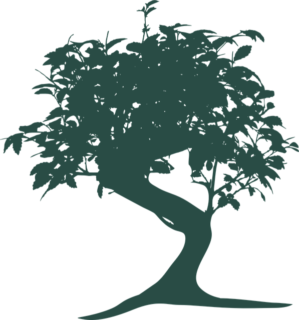Bonsai, Baum, Natur, Orientalisch