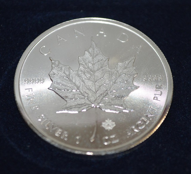 Free Silver Coin Currency photo and picture