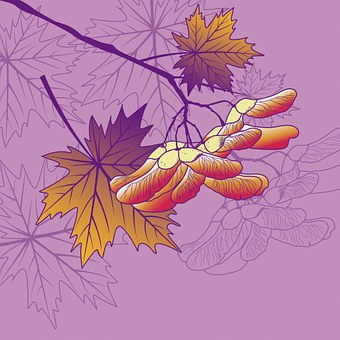 Free Tree Autumn illustration and picture
