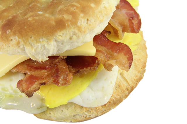 Free bacon egg and cheese biscuit breakfast american illustration