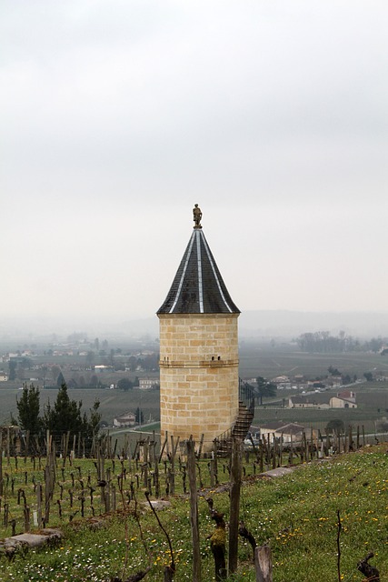 Free Saint Emilion France photo and picture