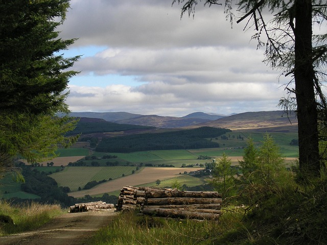 Free Scotland Landscape photo and picture